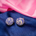Arctic Bloom White & Blue Crystal Earrings – Elegant Jewelry for Pageants and Events