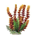 AT CABOMBA RED/YELLOW PLANT 6 INCH