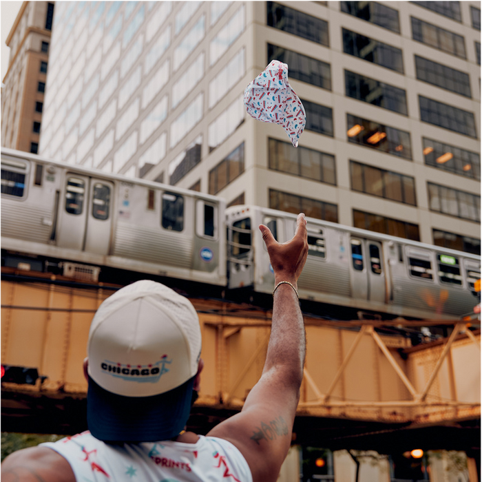 Chicago Four Star OG Hat (Unisex)