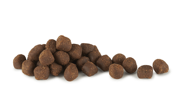 Cloud Star Tricky Trainers Puppy Mini Soft & Chewy with Lamb Training Treats for Dogs