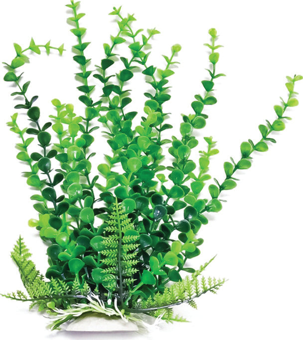 AT ELODEA PLANT GREEN 9 INCH