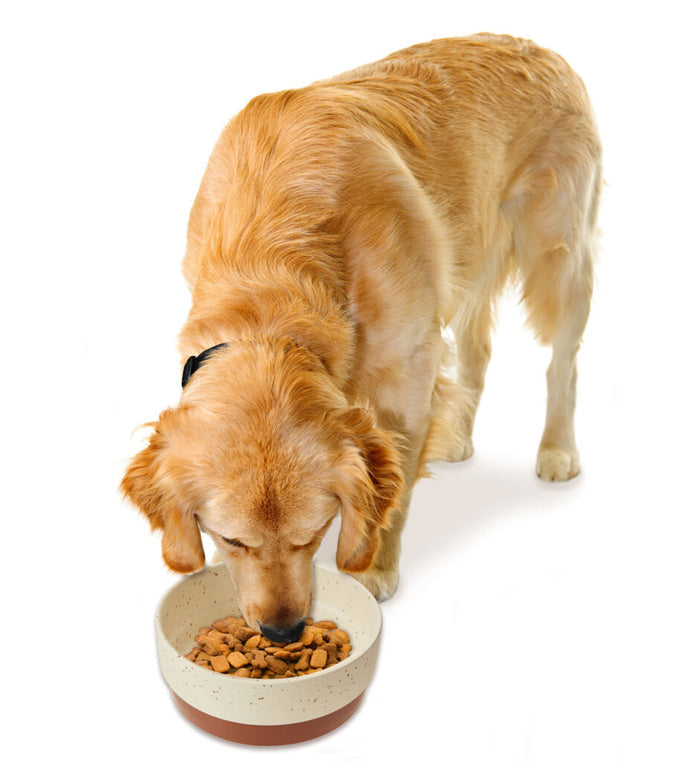 Ethical Pet Sedona Dish Dog Chestnut Brown