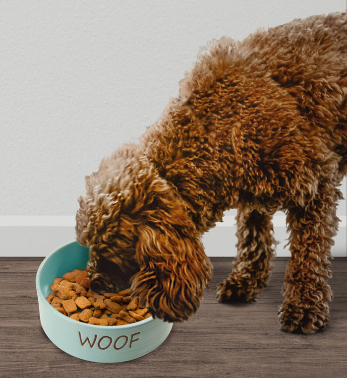 Ethical Pet Spot Portofino Dish Dog Sky Blue 7″