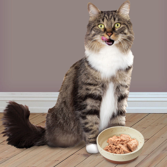 Ethical Pet Spot Sedona Dish Cat Chestnut Brown 5″