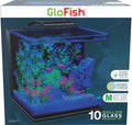 GLOFISH LED GLASS AQUARIUM KIT 10 GAL
