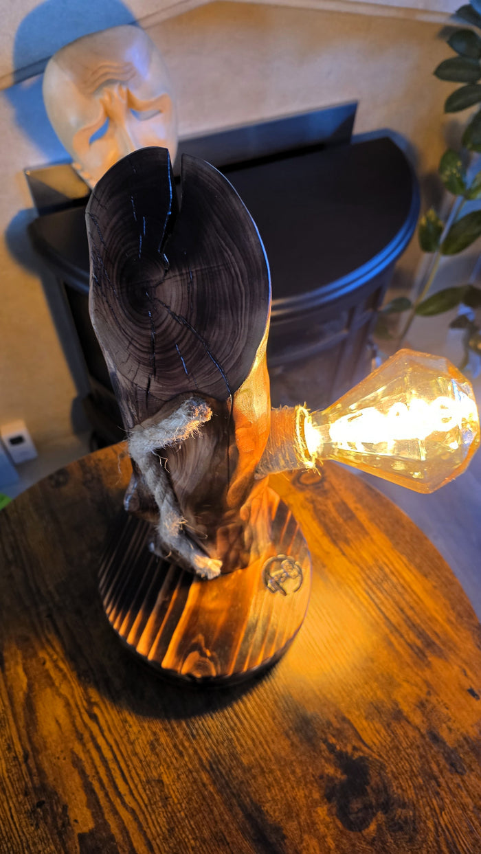 Handcrafted Apple Wood Table Lamp with Diamond Edison Bulb | Rustic Wooden Light
