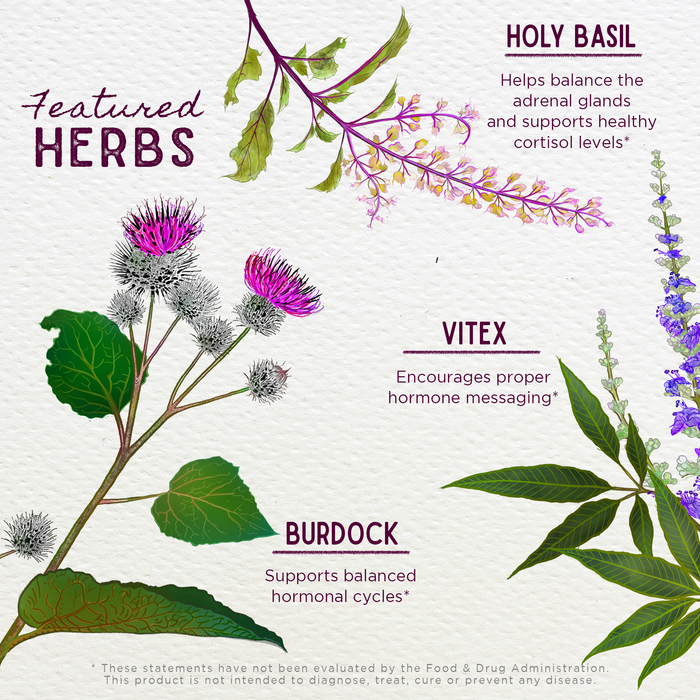 Hot Flash Tamer, Daily Regulator features illustrated herbs—holy basil (adrenal balance), vitex (hormone balance), and burdock (hormonal cycles)—with names and benefits labeled. Menopause support disclaimer appears at the bottom.