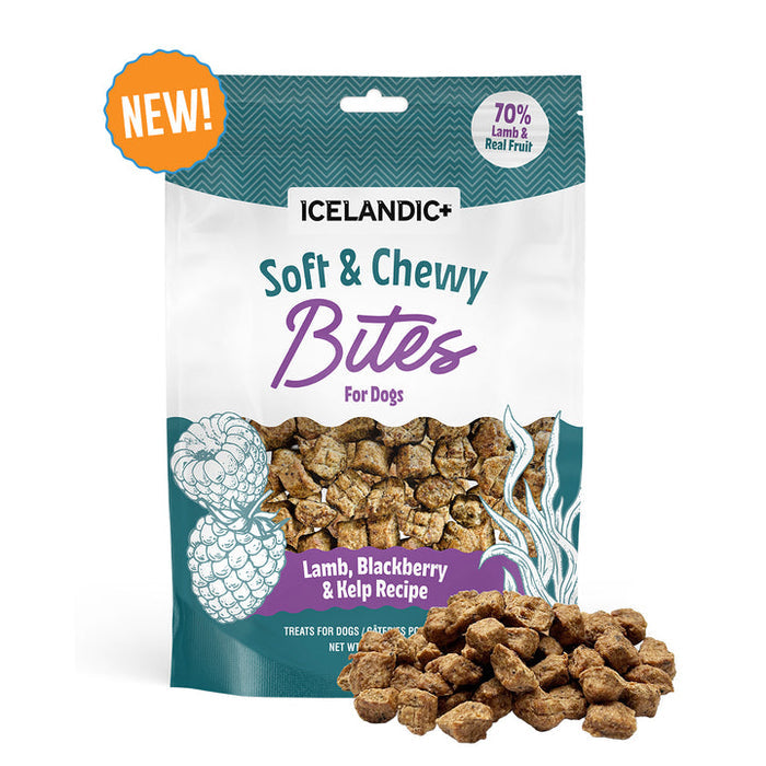 Icelandic+ Lamb, Blackberry & Kelp Recipe Soft & Chewy Bites for Dogs