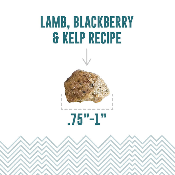 Icelandic+ Lamb, Blackberry & Kelp Recipe Soft & Chewy Bites for Dogs