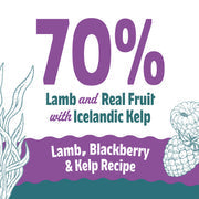 Icelandic+ Lamb, Blackberry & Kelp Recipe Soft & Chewy Bites for Dogs