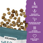 Icelandic+ Lamb, Blackberry & Kelp Recipe Soft & Chewy Bites for Dogs