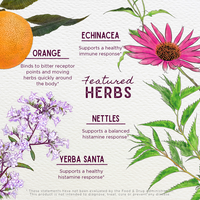Kick-Ass Allergy, Seasonal Rescue features botanical drawings of orange, echinacea, nettles, and yerba santa—herbs known for natural allergy relief—plus an orange slice on a textured background.