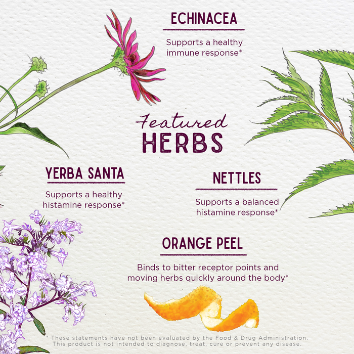 Watercolor-style illustration of echinacea, yerba santa, nettles, and orange peel showcases the allergy and sinus support benefits of Kick-Ass Allergy & Sinus, Soother for non-drowsy sinus relief.