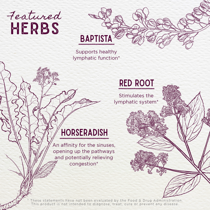 Kick-Ass Sinus, Move & Soothe features illustrated herbs for respiratory health: Baptista (supports healthy lymphatic function), Red Root (stimulates the lymphatic system), and Horseradish (aids sinuses, relieves congestion).