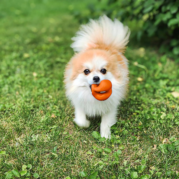 KONG Ogee Orb Dog Toy