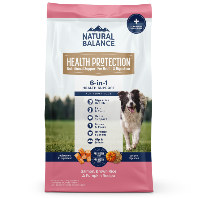 Natural Balance Salmon, Brown Rice & Pumpkin Recipe Dry Dog Food