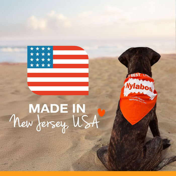 Nylabone Advanced Oral Care Senior Dog Dental Kit
