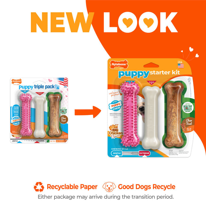 Nylabone Puppy Chew Starter Kit Chew Toy with Chew Treat