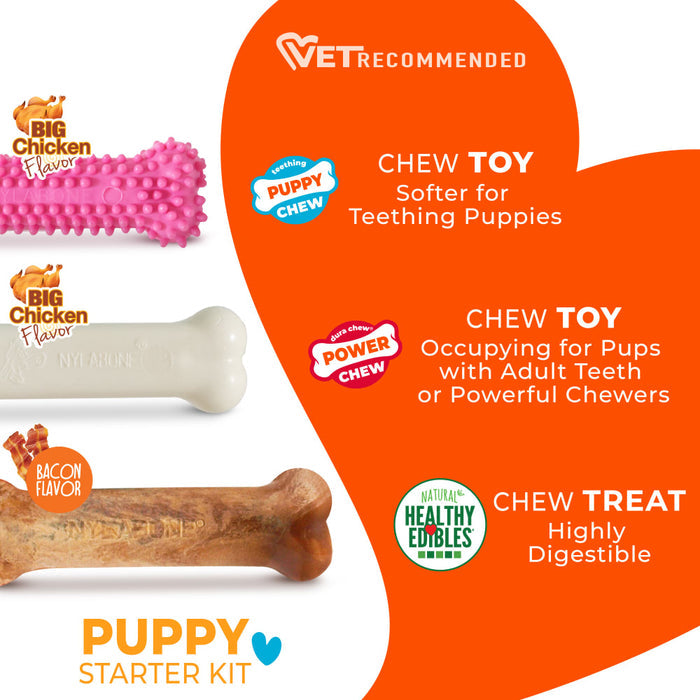 Nylabone Puppy Chew Starter Kit Chew Toy with Chew Treat