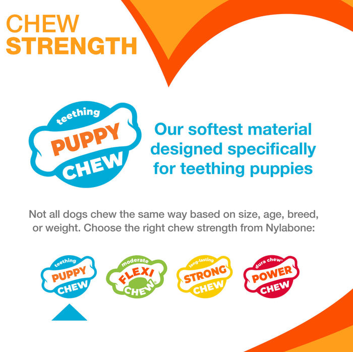 Nylabone Puppy Chew Starter Kit Chew Toy with Chew Treat