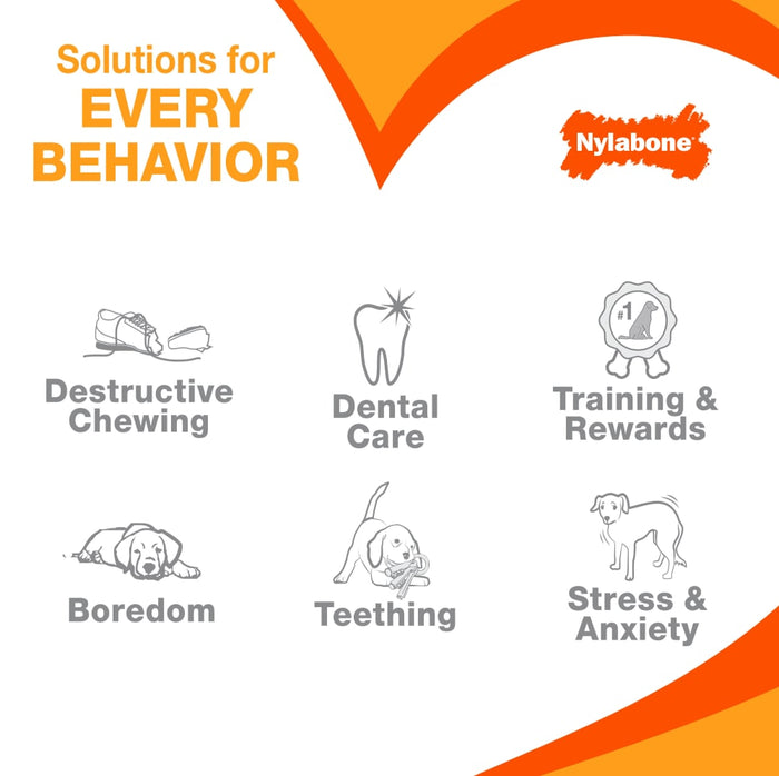 Nylabone Puppy Chew Starter Kit Chew Toy with Chew Treat