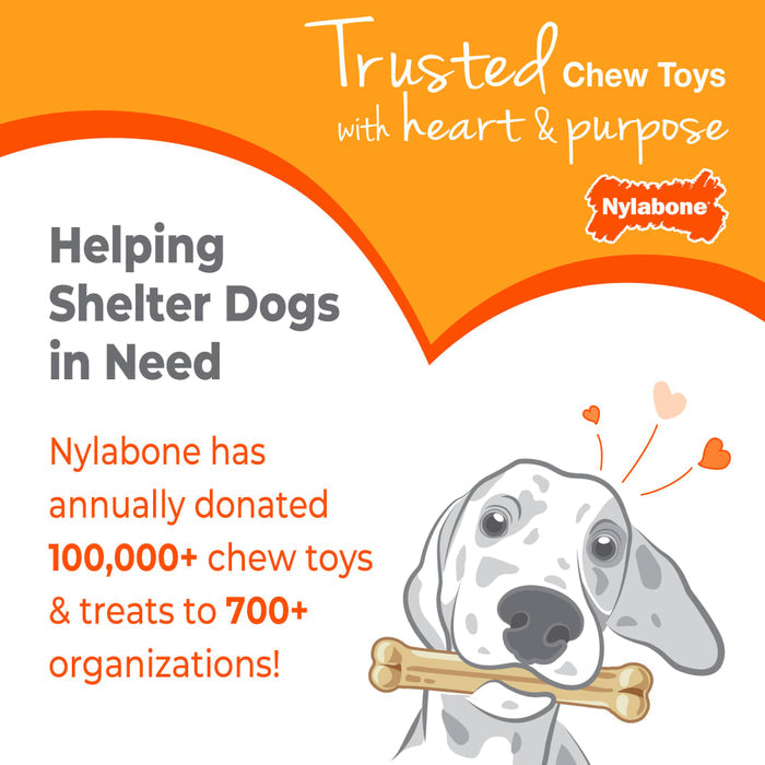 Nylabone Puppy Chew Starter Kit Chew Toy with Chew Treat