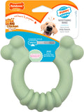 NYLABONE PUPPY TEETHING RING