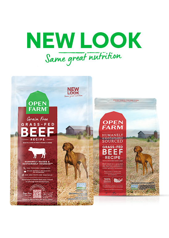 Open Farm Grass-Fed Beef Grain-Free Dry Dog Food