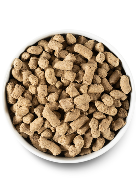 Open Farm Surf & Turf Freeze Dried Raw Dog Food