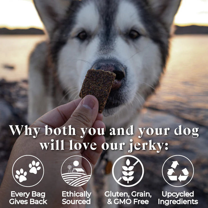 Otis Wild Things Salmon Recipe Jerky For Dogs
