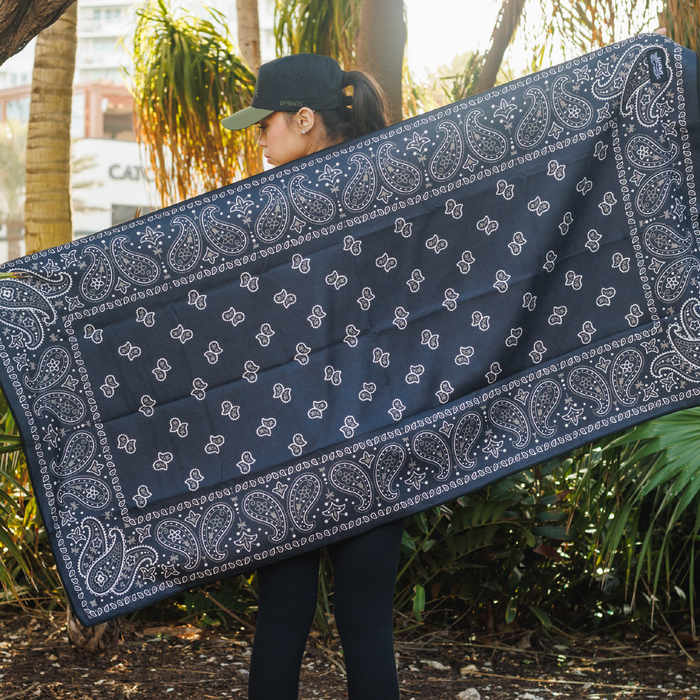 Paisley Probs Car Seat Cover Towel w/ Snaps