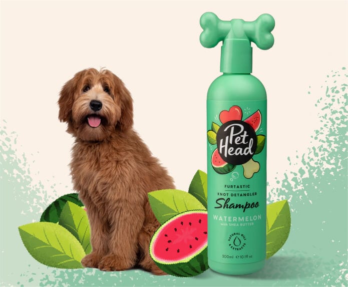 Pet Head Furtastic Knot Detangler Shampoo for Dogs Watermelon with Shea Butter