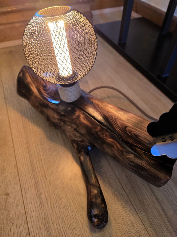 Rustic Wooden Butterfly Lamp – Metal Mesh Globe Table Lamp