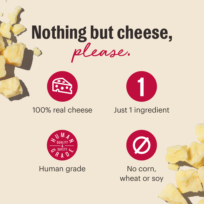 The Honest Kitchen Gouda Cheese Bites Dog Treats