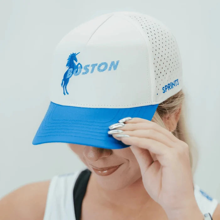 The Unicorn Standard - Boston VP Hat (Unisex)