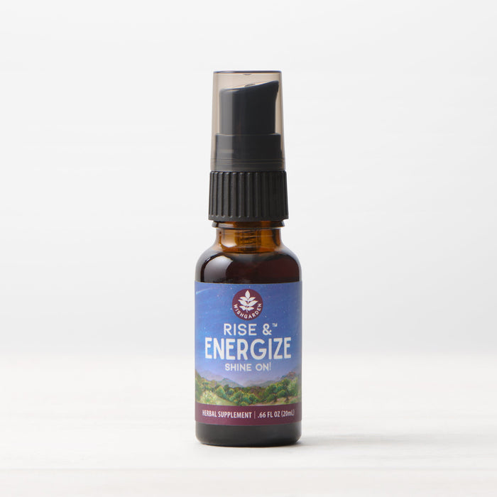 Three small brown bottles with black pump caps labeled Thrive All Day 3-Pack, 1.6 fl oz each, sit on a light surface against a plain white background—ideal for your daily herbal routine and sustained energy.