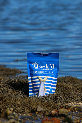 Totally Hook'd Freeze-Dried Herring Treats for Dogs & Cats
