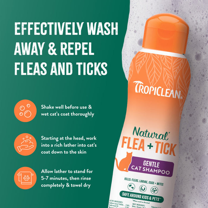 TropiClean Natural Flea + Tick Gentle Cat Shampoo