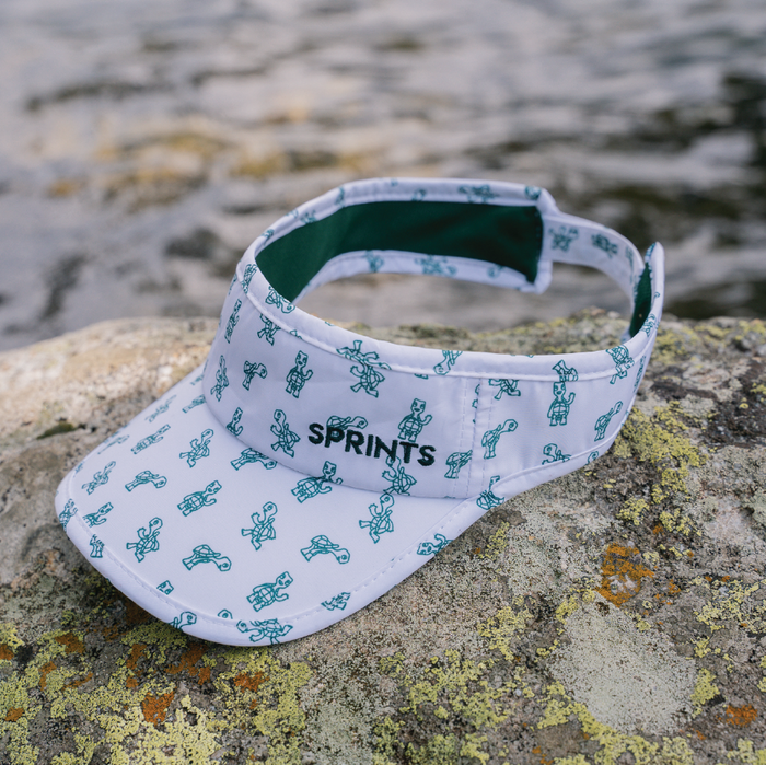 Person wearing the Turtles Visor