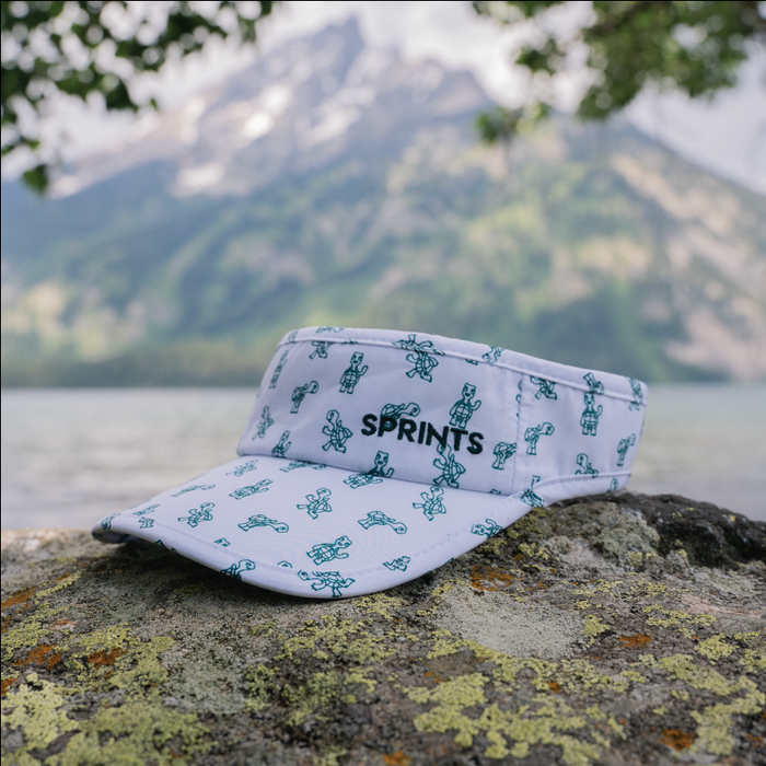 Turtles Visor (Unisex)