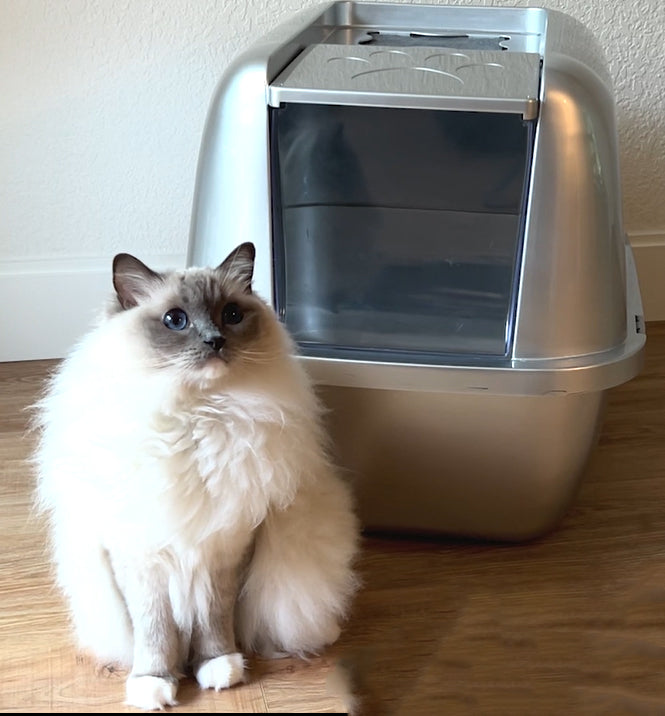 Van Ness EZ Clean Enclosed Cat Litter Pan