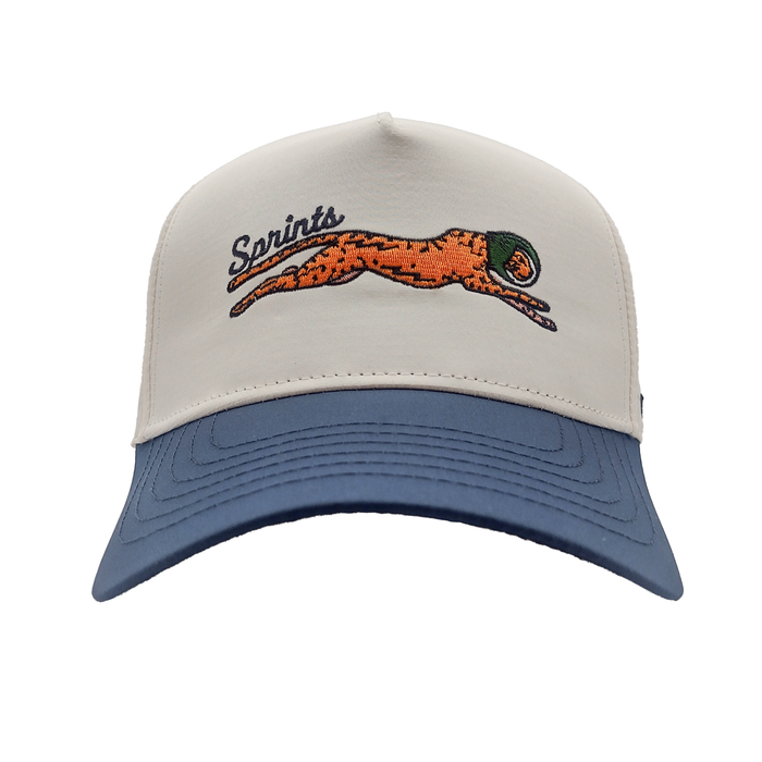 Victory Sprints VP Hat featuring the Miles the Jag print, front view