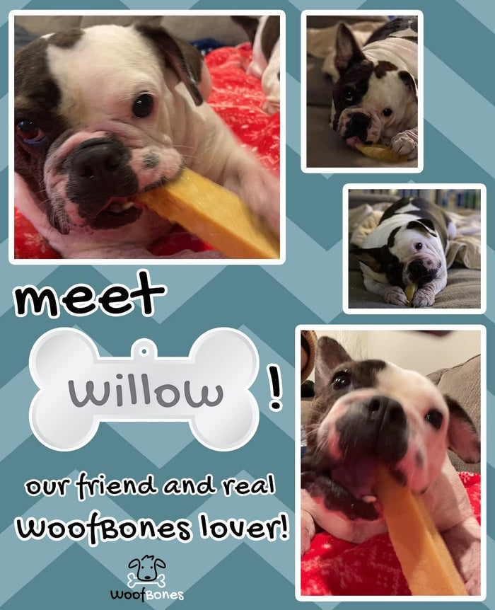 WoofBones Premium Yak Cheese Himalayan Chews