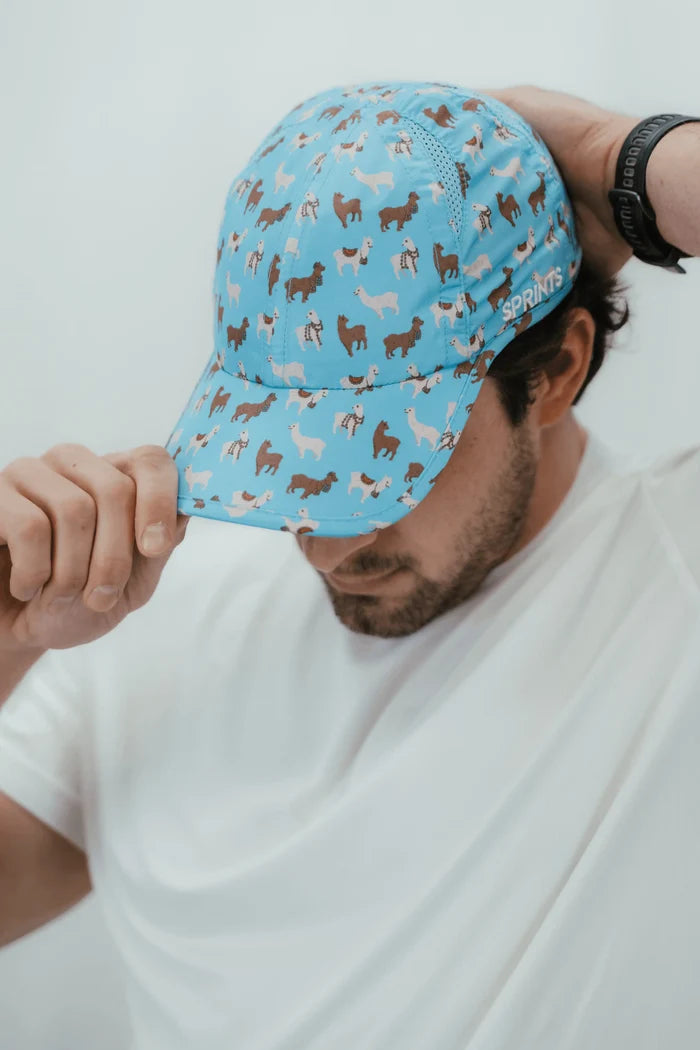 Wooly Cooly Llamas OG Hat (Unisex)